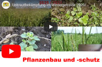 Startfolie eines Vortrags; Schriftzug Pflanzenbau und -schutz