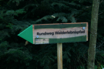 Schild mit Aufschrift Rundweg Walderlebnispfad