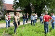 Personengruppe im Kreis auf Wiese