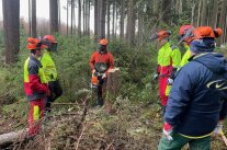 Männer in Schutzbekleidung und mit Motorsäge vor Baumstumpf im Wald.