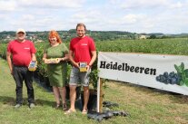 Zwei Männer und Frau mit Heidelbeer-Körbchen auf Plantage.