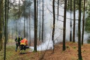 Zwei Feuerwehrleute erzeugen mit Maschine Rauch im Wald.