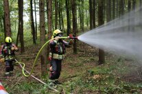 Zwei Feuerwehrleute mit Ausrüstung löschen mit Wasser im Wald.