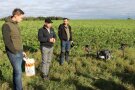 Drei Personen nebeneiner großen Agrardrohne im Feld.