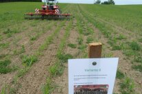 Landwirtschaftliches Feld mit Traktor