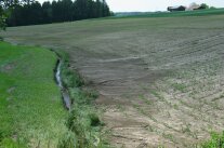 erosionsgeschädigtes Feld in Hanglage