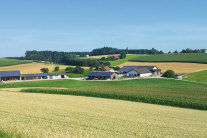 Felder vor Ortschaft